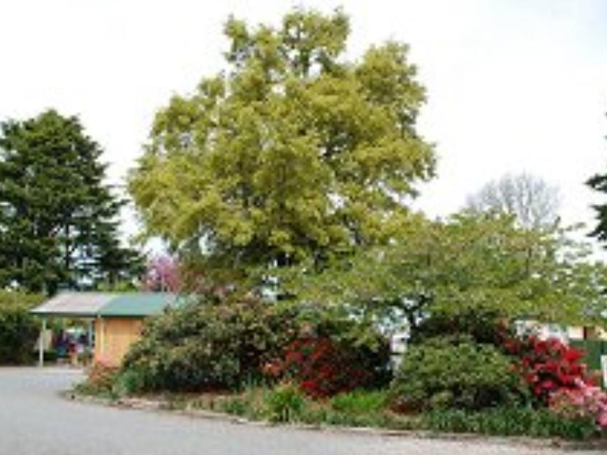 Coronation Park Motels Ashburton Exterior foto